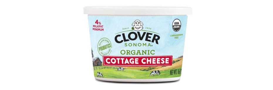 Organic Cottage Cheese 4% Milkfat 16 oz