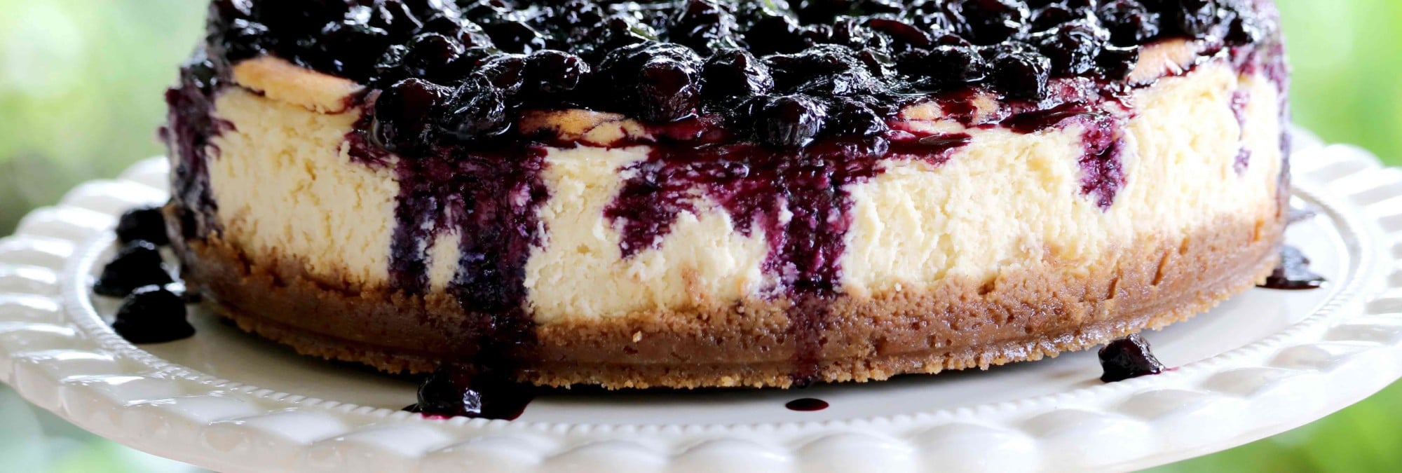 Heavenly Blueberry Cheesecake Recipe from Clover Sonoma