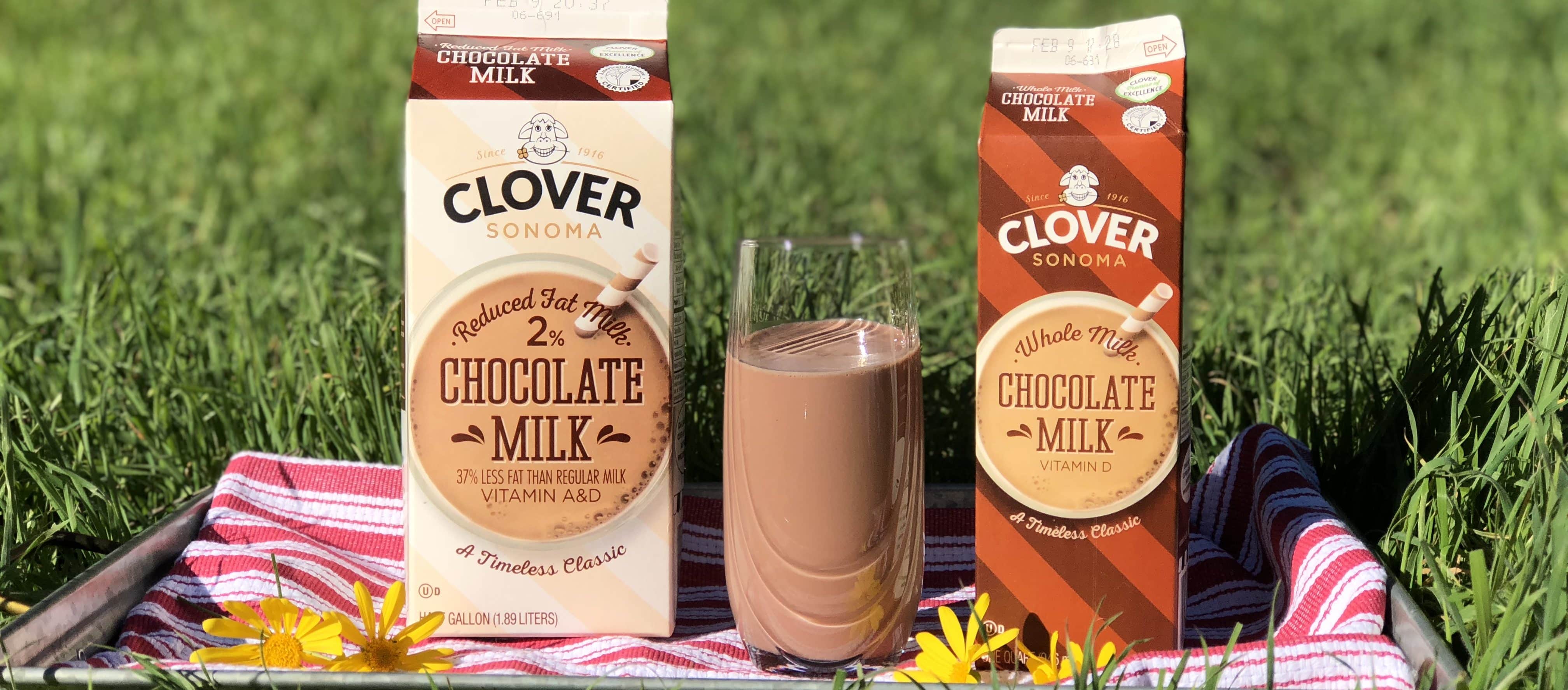Introducing New & Improved Clover Chocolate Milk! Clover