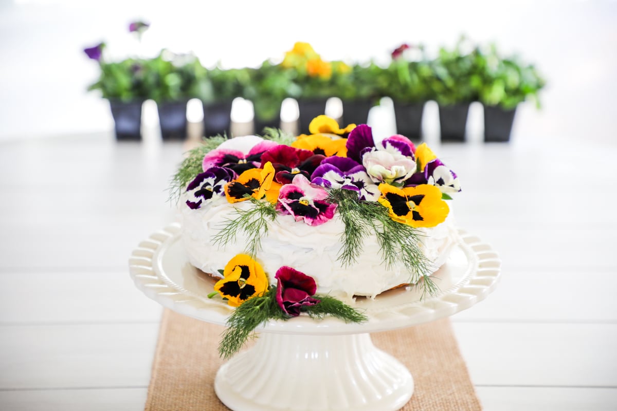 Clo's Earth Day Garden Cake - Clover