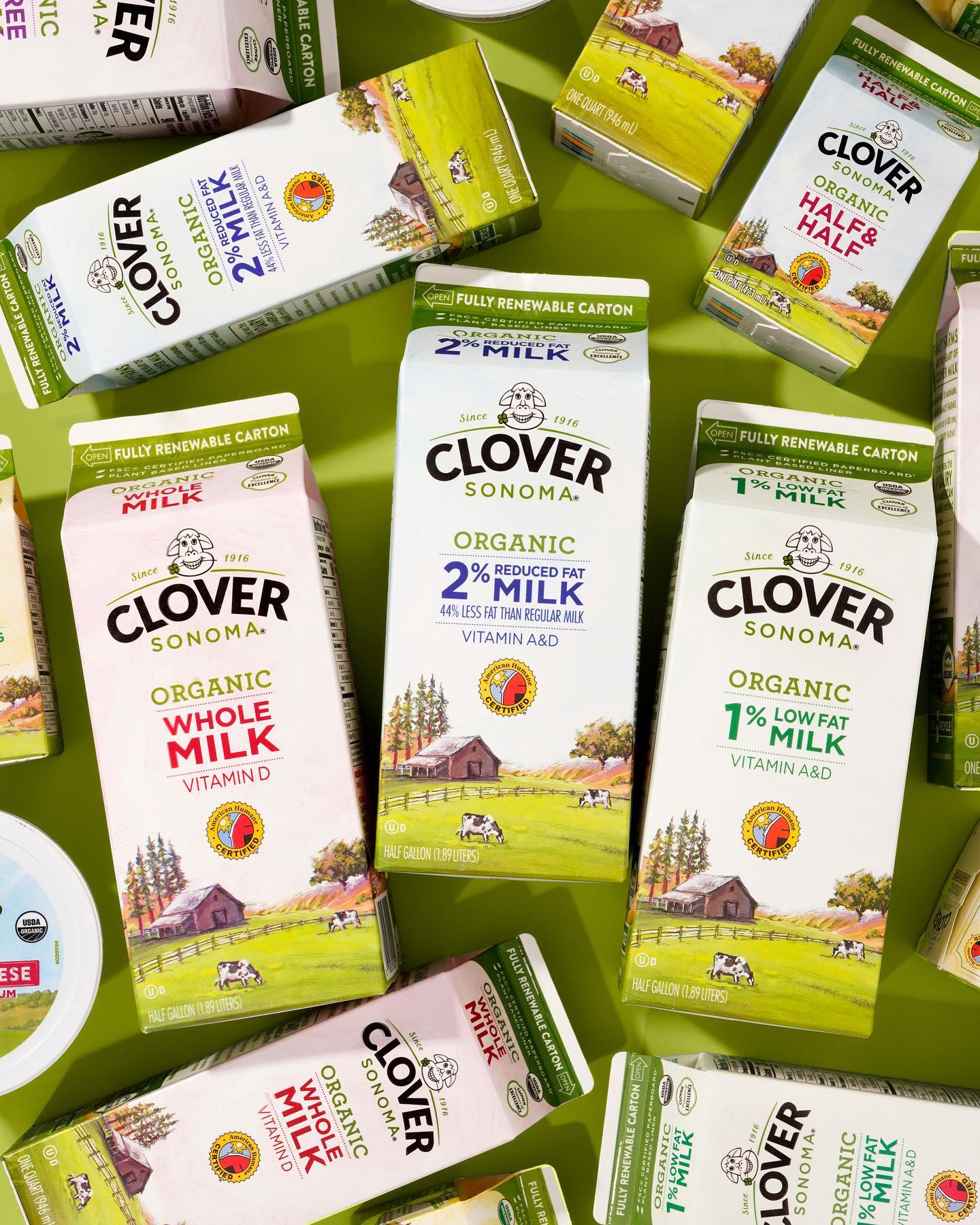 The organic crew is all here! 🥛 Which one are you enjoying today? 👇

🤍 Organic Whole Milk
🐄 Organic 2% Reduced Fat Milk
✨ Organic 1% Low Fat Milk
☕️ Organic Half & Half